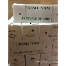 Yam fresco chino para la exportación (diámetro: los 2-3cm)